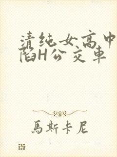 清纯女高中生沦陷H公交车