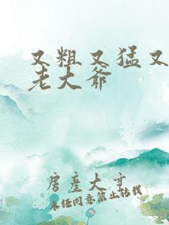 又粗又猛又大爽老大爷