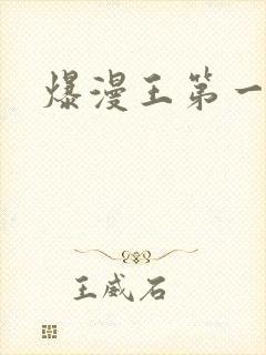 爆漫王第一季