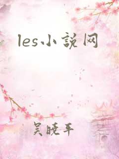 les小说网