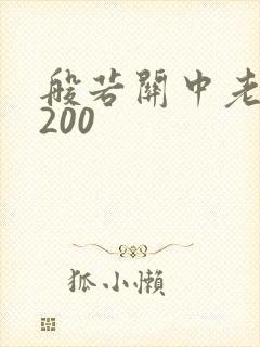 般若关中老人5200