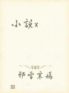 小说x