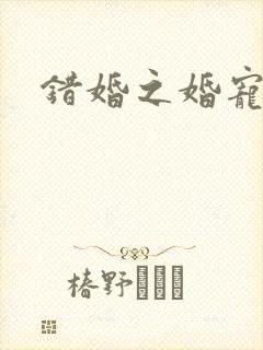 错婚之婚宠一世