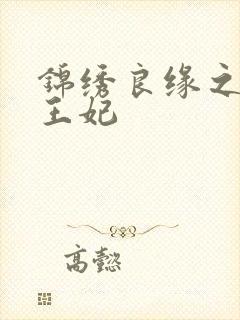 锦绣良缘之北地王妃