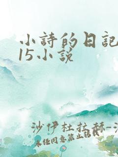 小诗的日记1一15小说