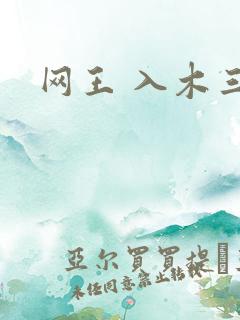 网王 入木三分