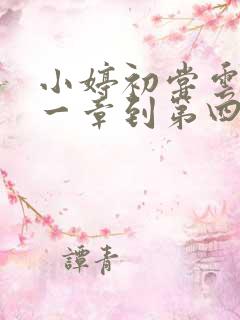 小婷初尝云雨第一章到第四章