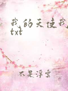 我的天使我的爱txt