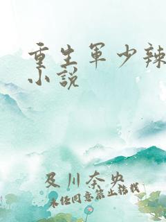 重生军少辣娇妻小说