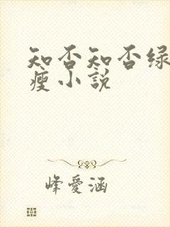 知否知否绿肥红瘦小说