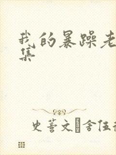 我的暴躁老妈全集