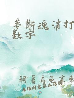 梦断魂消打三个数字