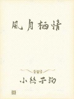 风月栖情