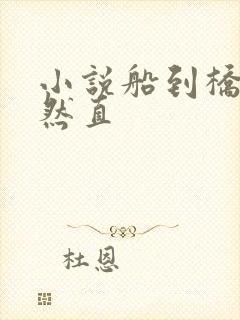 小说船到桥头自然直