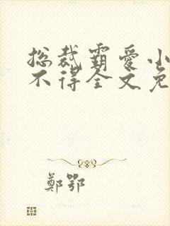 总裁霸爱小妻惹不得全文免费阅读笔趣阁