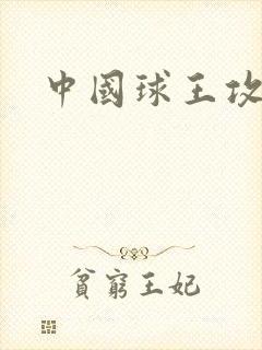 中国球王攻略