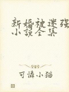 新婚被迷强系列小说全集