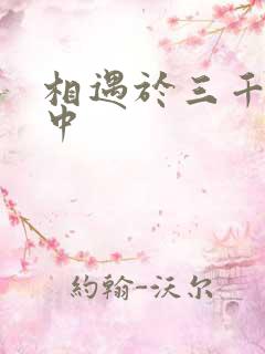 相遇于三千肉文中