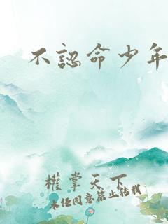 不认命少年向阳