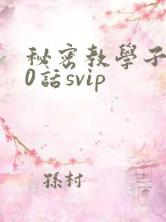 秘密教学子豪60话svip