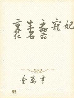 重生之宠妃白莲花名器