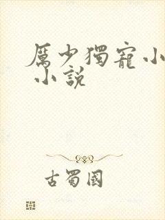 厉少独宠小娇妻 小说