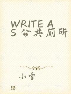 WRITE AS 公共厕所