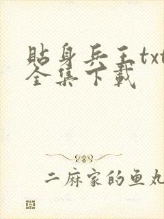 贴身兵王txt全集下载