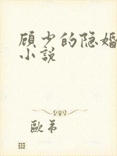 顾少的隐婚罪妻小说