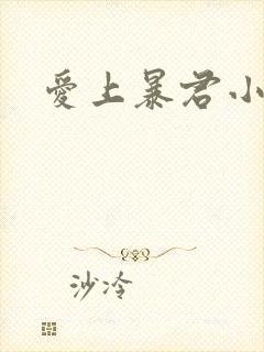 爱上暴君小甜心