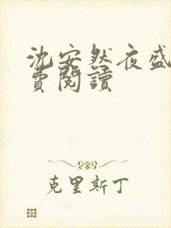 沈安然夜盛霆免费阅读