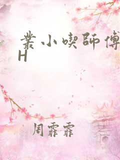 丛小吃师傅的HH