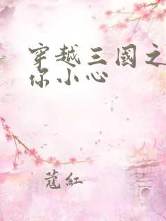 穿越三国之孔明你小心