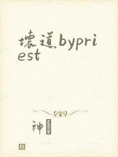 坏道bypriest