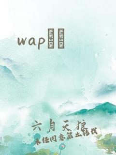 wapС˵