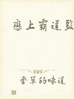 恋上霸道监护人