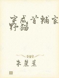 穿成首辅家的小野猫