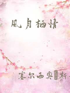 风月栖情