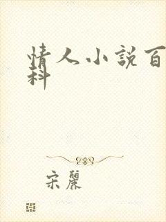 情人小说百度百科