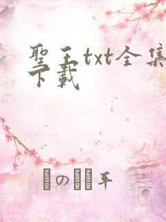 圣王txt全集下载