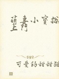 萌妻小宝总裁找上门