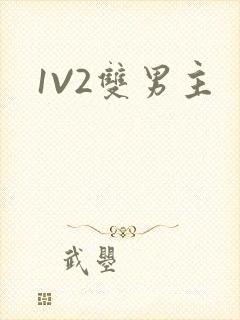 1V2双男主
