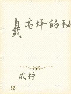 月亮坪的秘密下载