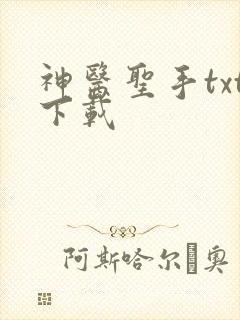 神医圣手txt下载