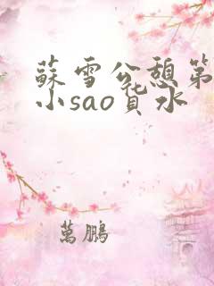 苏雪公憩第一章小sao货水