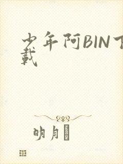 少年阿BIN下载
