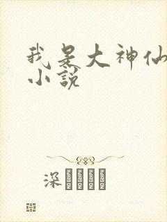 我是大神仙时江小说