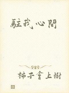 驻我心间