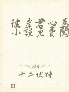 彼岸君心为我倾小说免费阅读