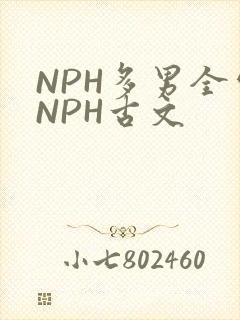 NPH多男全处NPH古文